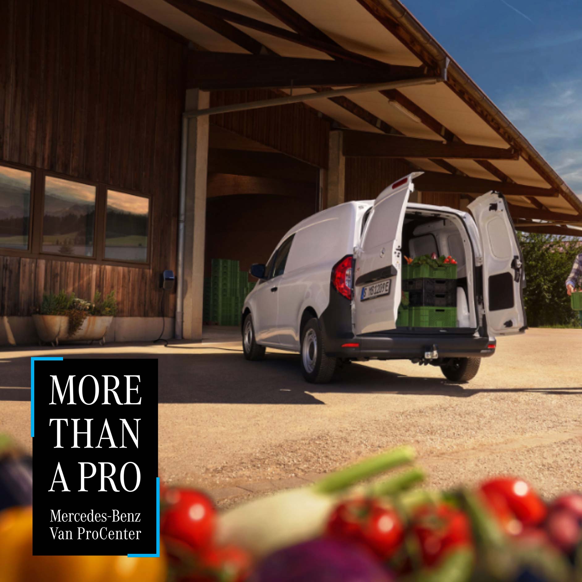 Passgenauigkeit | Mercedes-Benz Van ProCenter Im Van ProCenter erhalten Sie Fahrzeuge wie den Mercedes-Benz Citan Kastenwagen massgeschneidert für Ihre Branche.